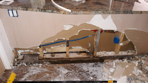 Best Water damage restoration company  in West Monroe, MI