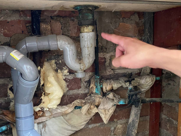Best Flood restoration services  in West Monroe, MI