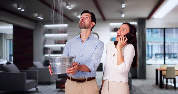 Water damage restoration experts in MI